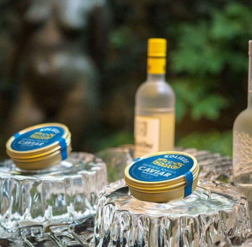 KolikofIceBar3-Low-Res